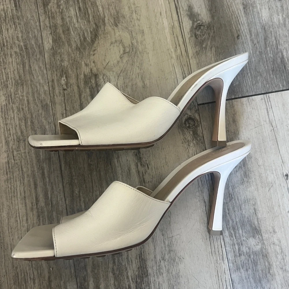 Bottega Veneta these are